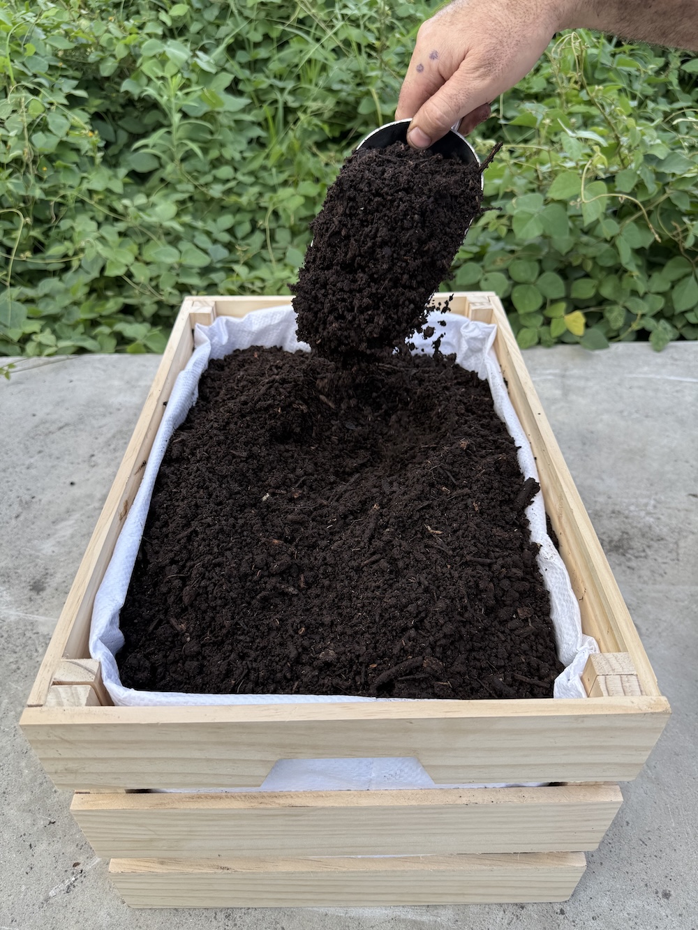 Premium Fungal Compost - Image 2