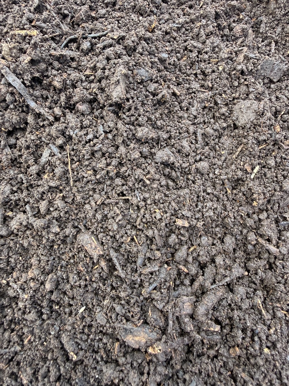 Premium Fungal Compost - Image 3