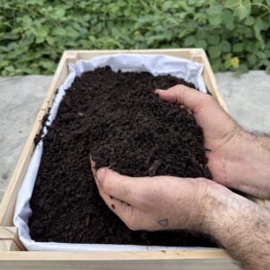 Premium Fungal Compost