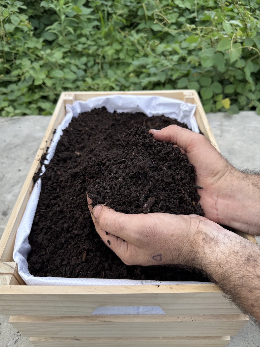 Premium Fungal Compost