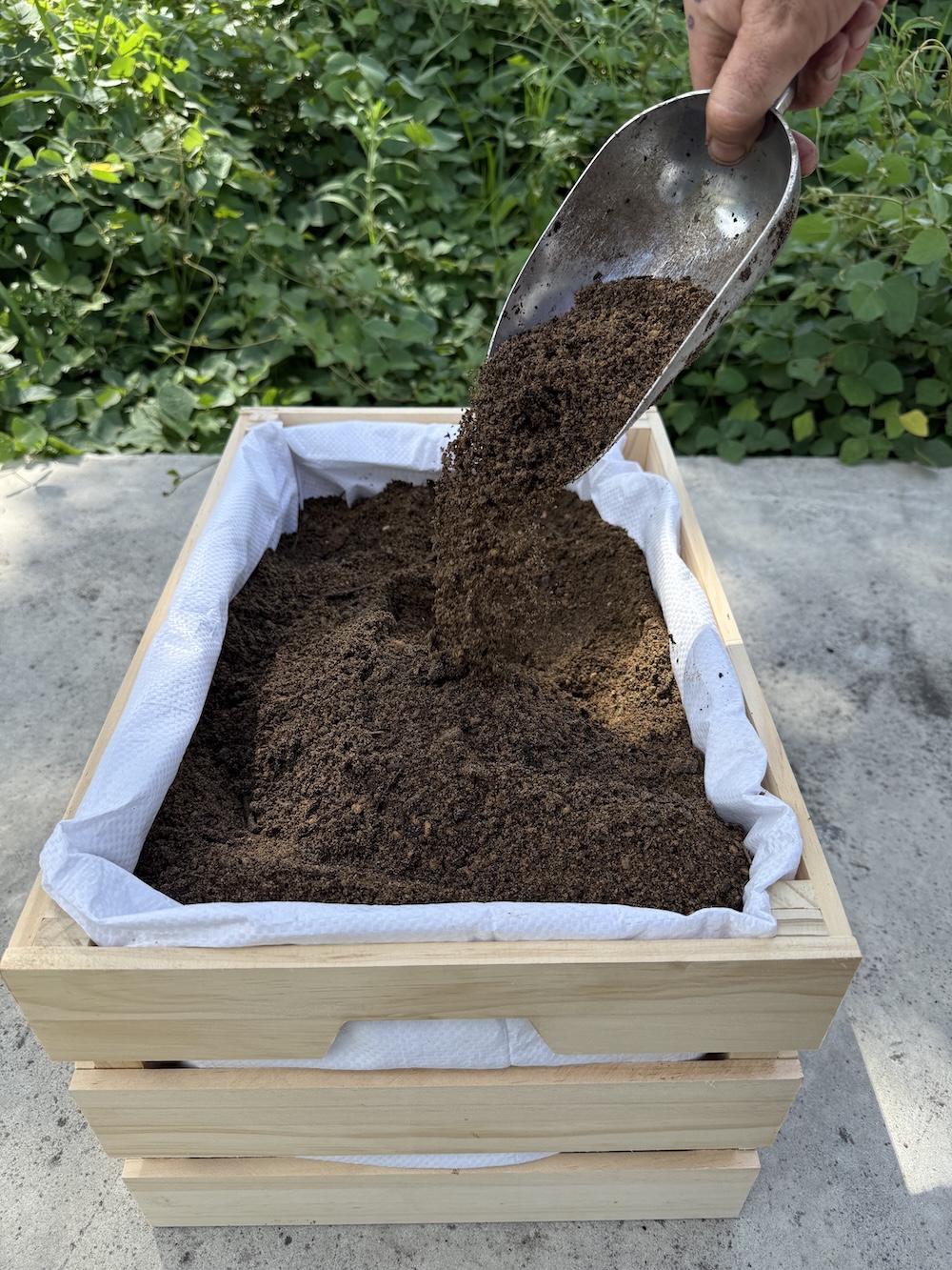 Australian Native Soil Blend - Image 2
