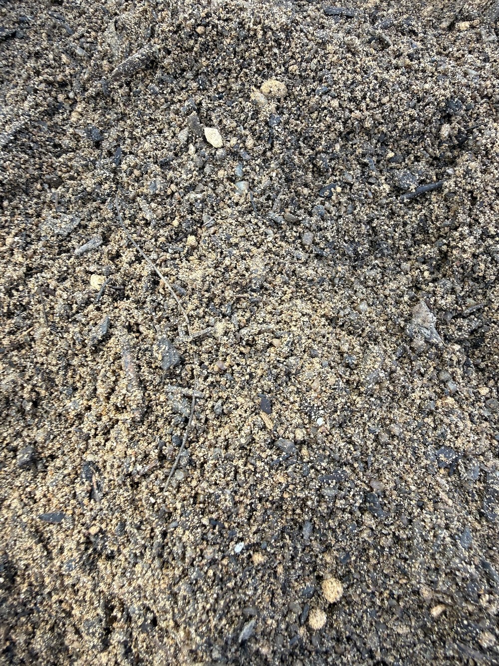 Australian Native Soil Blend - Image 4